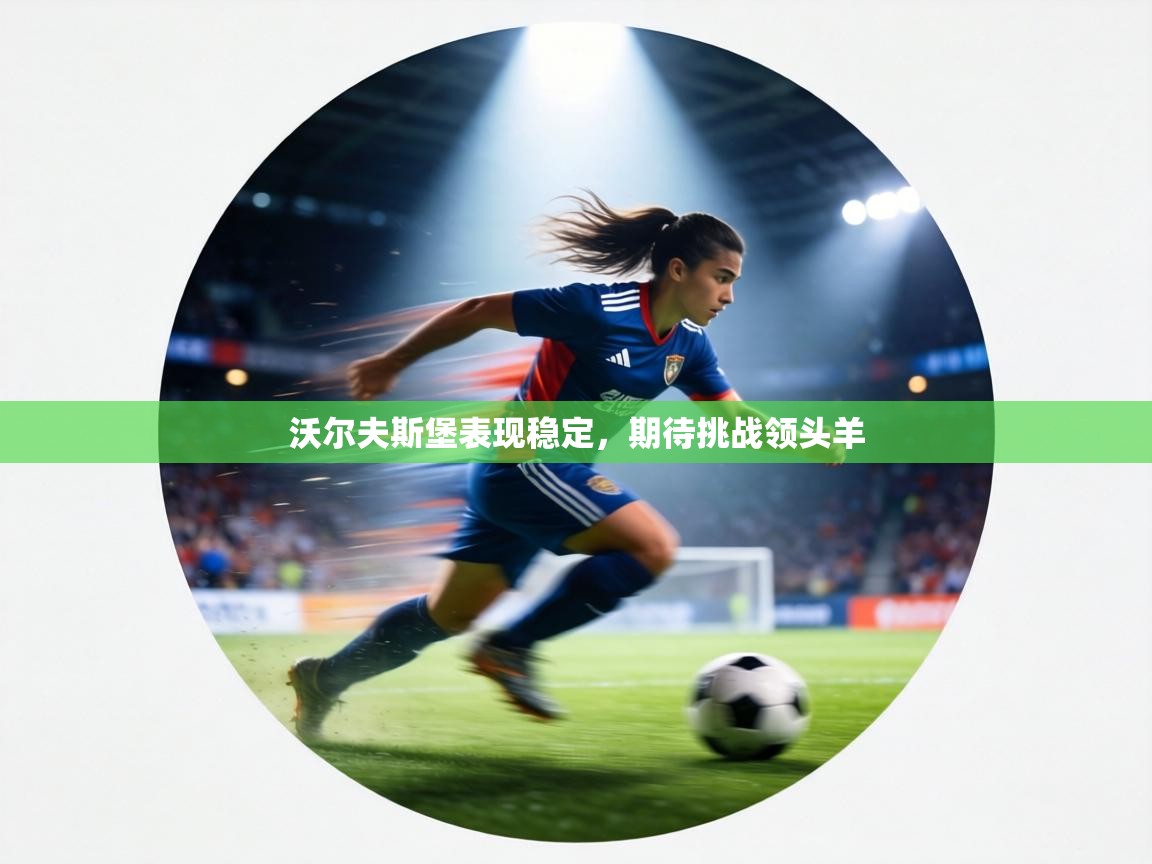 沃尔夫斯堡表现稳定,期待挑战领头羊 第2张